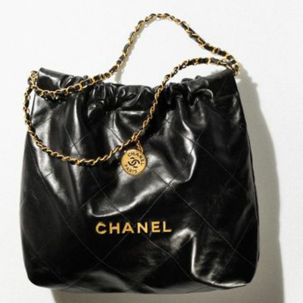 The Chanel 22 small handbag